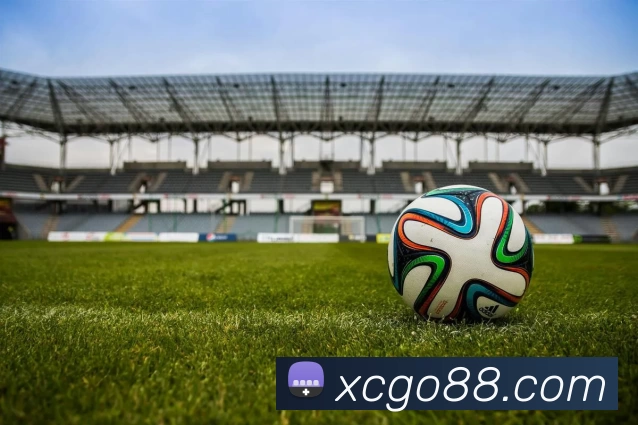 新城娱乐官网发展历程